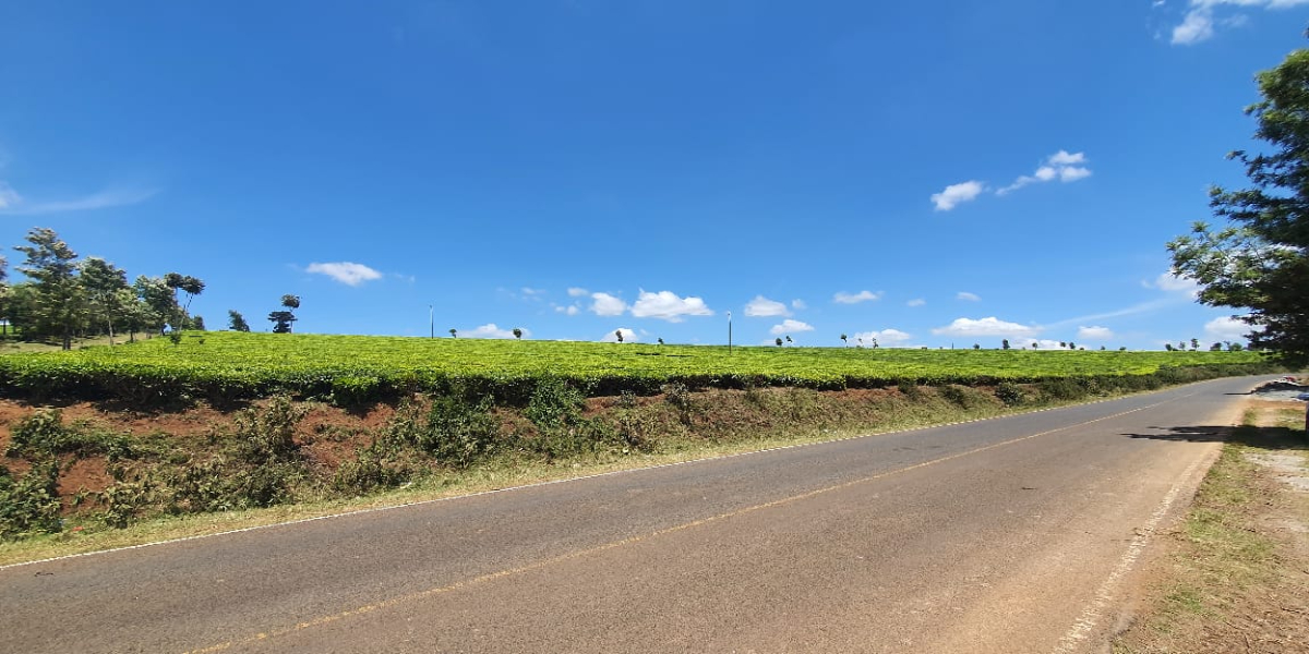 12.5 Acre Land for Sale in Riara Ridge, Itugi. Kiambu County.
