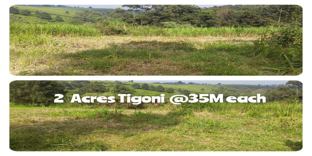 2 Acre Land Available for Sale in Tigoni, Kiambu County.