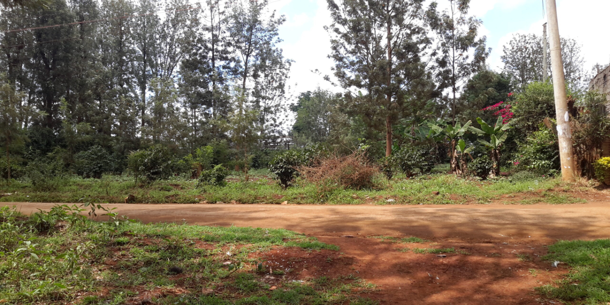 3/4-acre Land for Sale in Thindigua, Kiambu County.