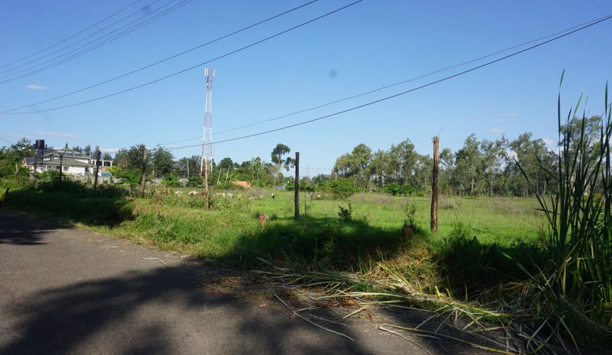 WhatsApp Image 2025-05-22 at 17.09.06 (2)