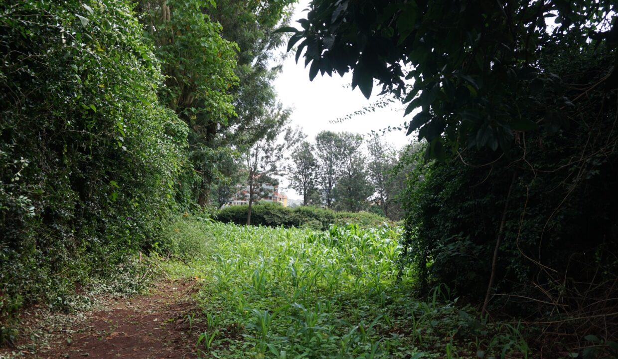 WhatsApp Image 2025-05-22 at 17.56.13 (2)