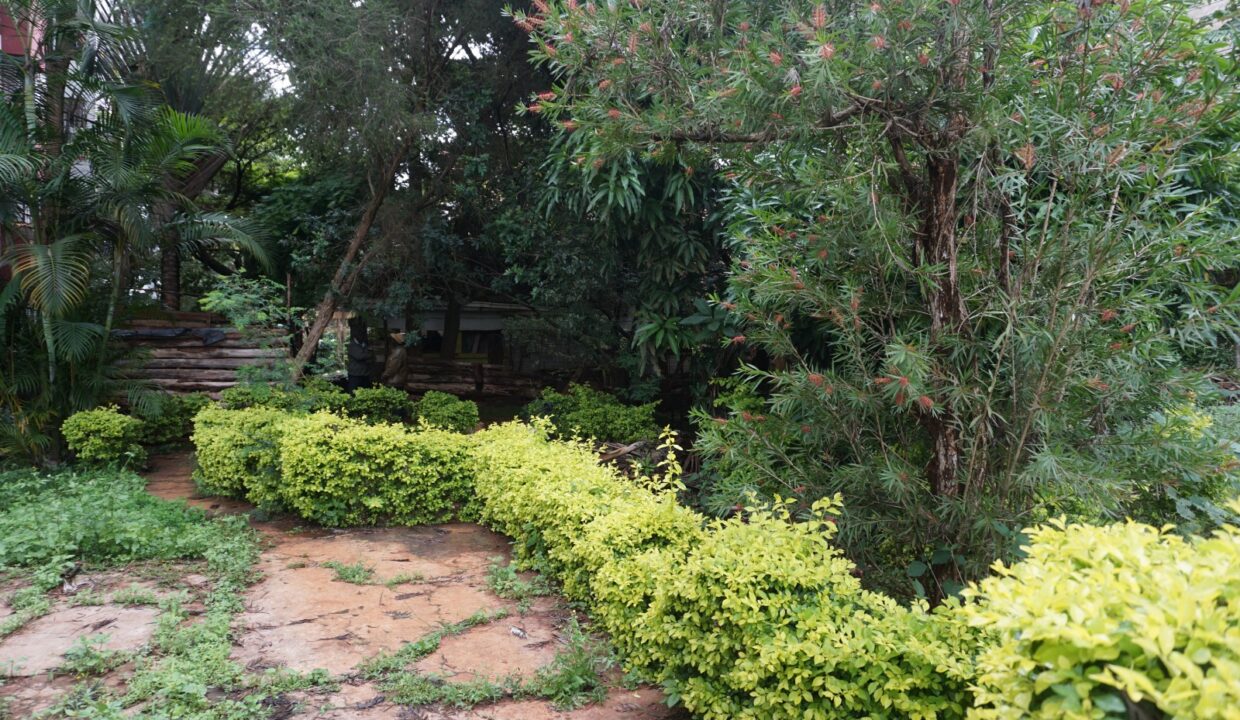 WhatsApp Image 2025-05-22 at 18.11.51 (1)