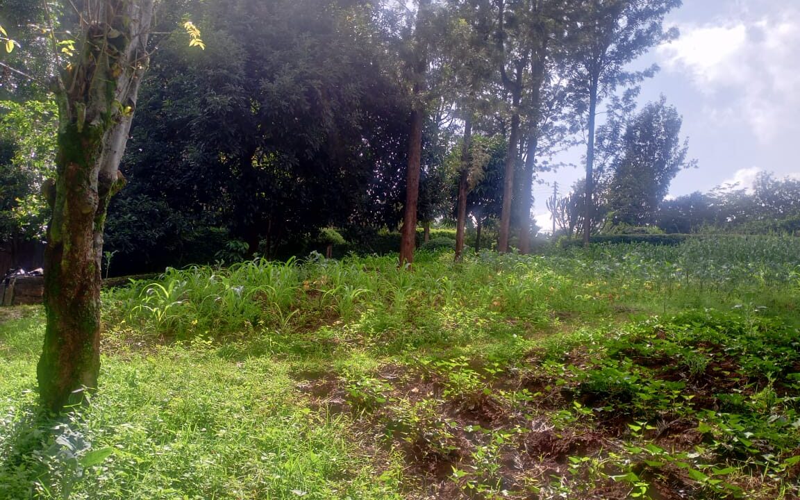WhatsApp Image 2025-05-28 at 3.00.26 PM