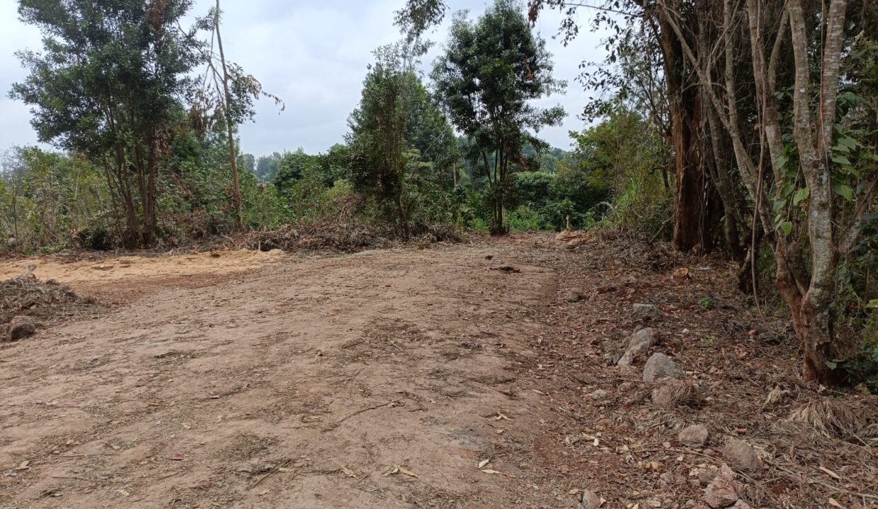 WhatsApp Image 2026-08-10 at 11.29.38 (1)
