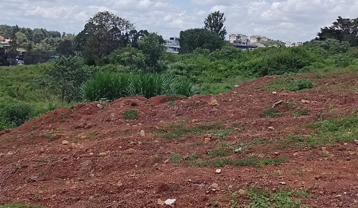 WhatsApp Image 2026-10-13 at 11.00.10